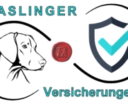 Haslinger Versicherung