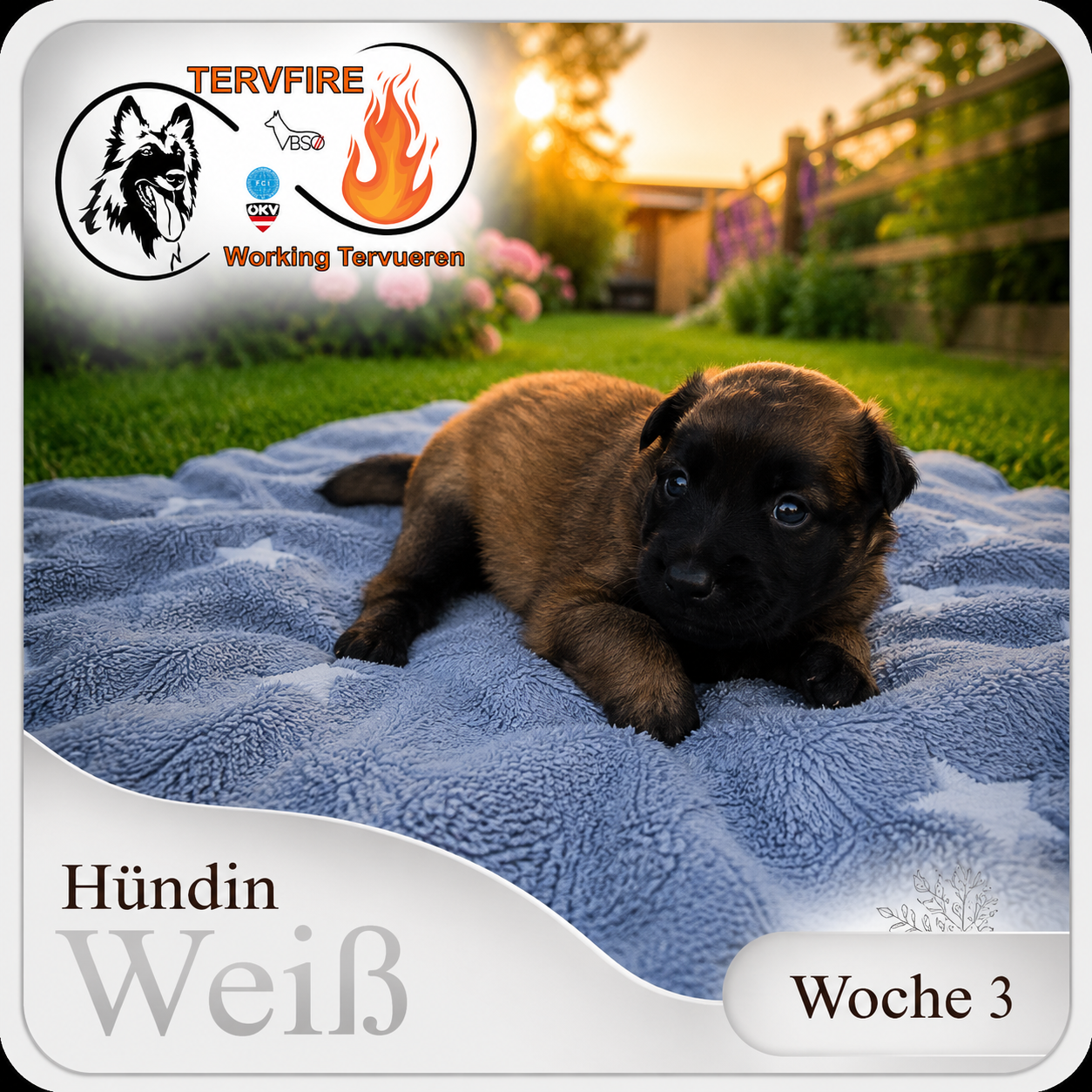 Weiß