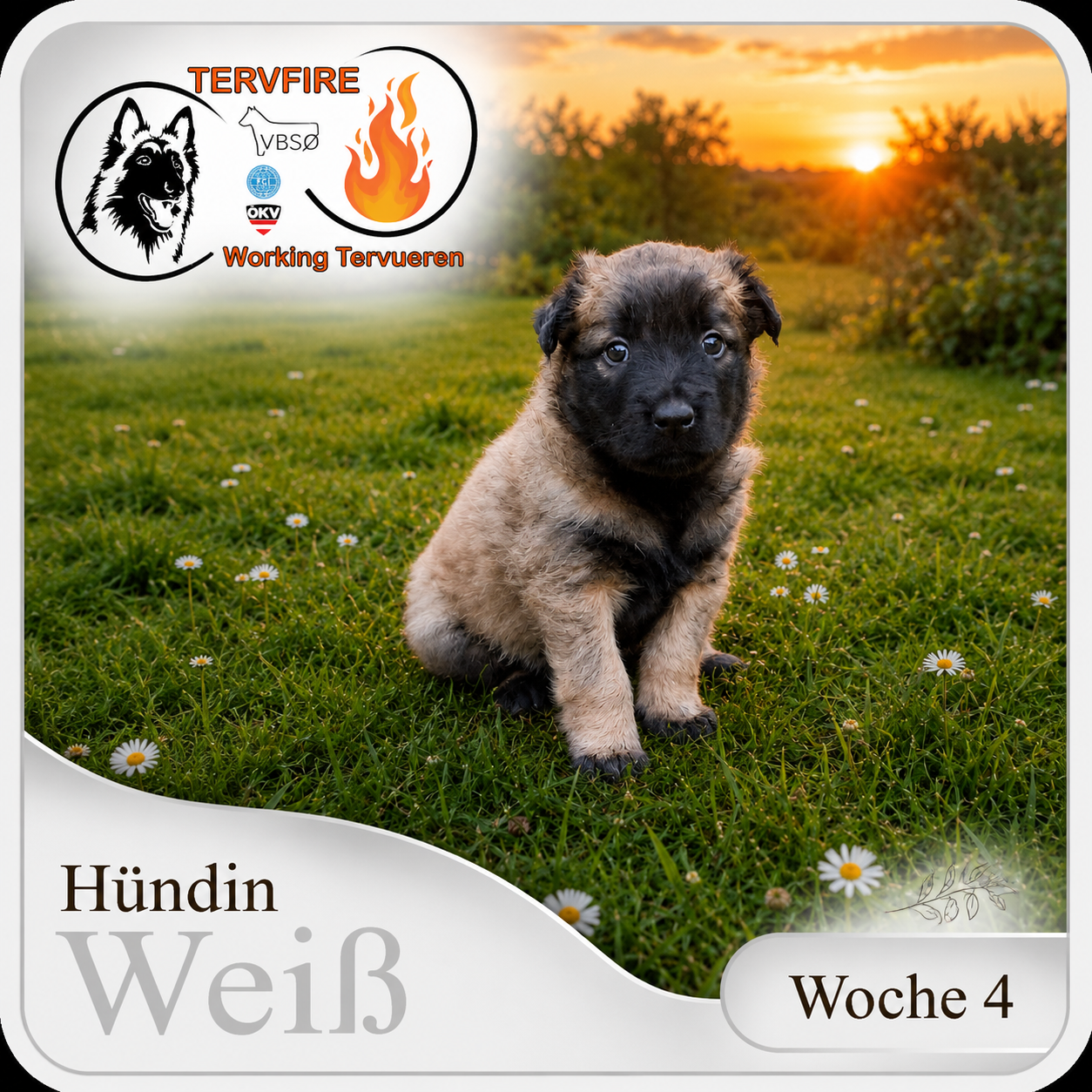 Weiß