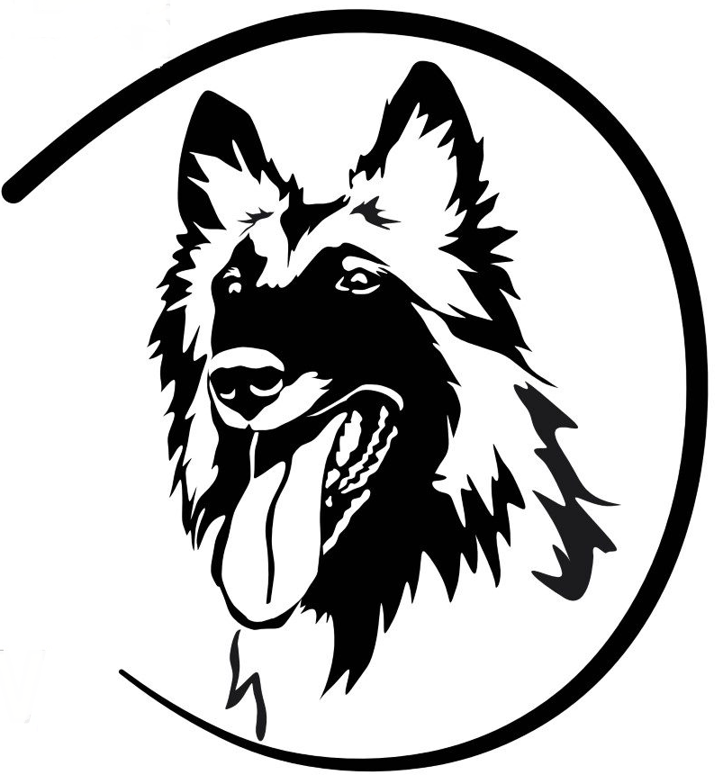 Tervfire