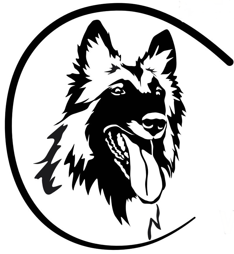 Tervfire